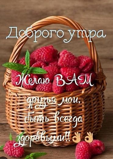 Продукты питания: Малина В розницу — 4