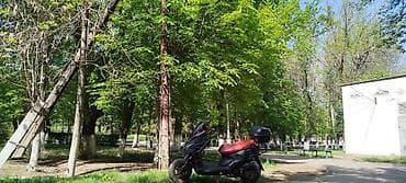 скутер бишкек: Тип скутера 150 куб. см, Бензин, Б/у — 3