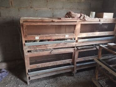 Бодоно багуу учун клеткалар сатылат колдонулган