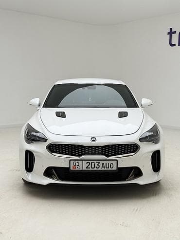kia stinger 2019: Kia Stinger: 2019 г., 2.2 л, Автомат, Дизель, Фастбек — 2