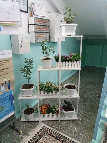 столешницы для кухни в бишкеке цены: Подставки для цветов производство и продажа, 💯качество аккуратность — 14