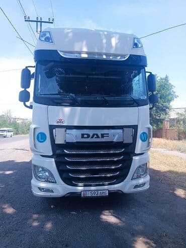 шины на внедорожник: Тягач, DAF, 2018 г., Шторный — 4