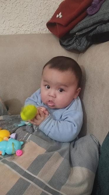 чистокровный лошадь: Продаю | Баран (самец) | Для разведения | Осеменитель — 7