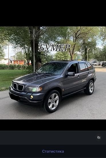 BMW: BMW X5: 2003 г., 3 л, Автомат, Бензин, Кроссовер — 1