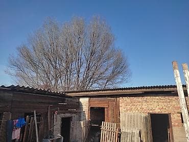 участок гавриловка: Дом, 65 м², 4 комнаты — 5