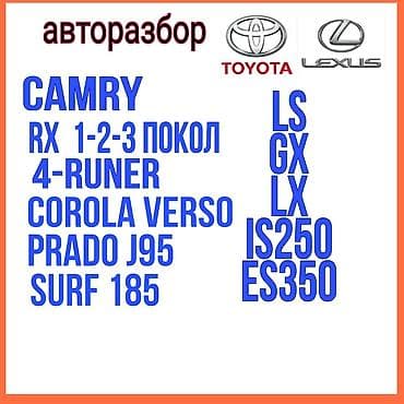 lexs: Автозапчасти Toyota Lexus. Большой модельный ряд. Все вопросы по — 1