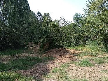 карьер продажа: 23 соток, Для строительства, Красная книга — 3