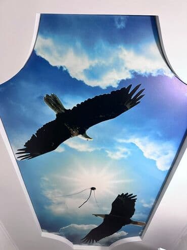 Дизайн, проектирование: Натяжной потолок Глянцевое, Матовое Гарантия, Бесплатная консультация, Бесплатный замер — 9