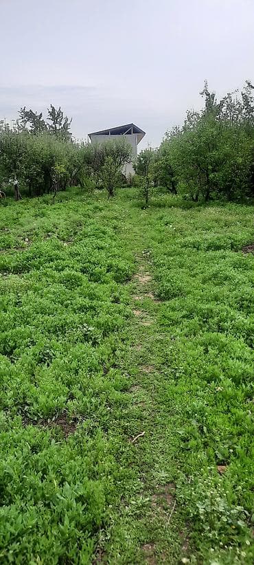 дешевые дачи: Дом с приусадебным участком. - Одноэтажный дом с двускатной крышей — 5