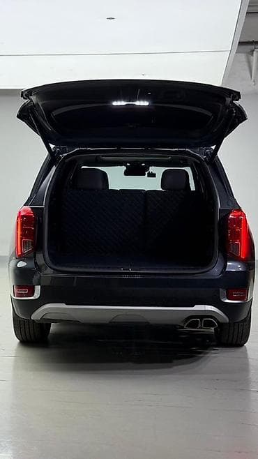 4wd: Hyundai Palisade: 2019 г., 2.2 л, Автомат, Дизель, Кроссовер — 8