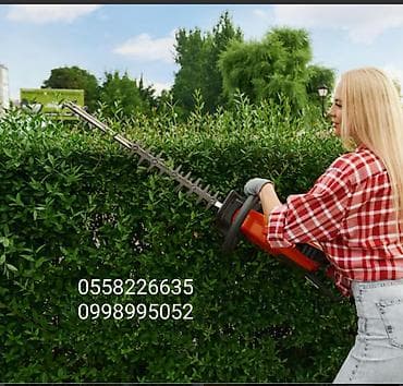 Профессиональная стрижка и формовка живых изгородей и кустарников -