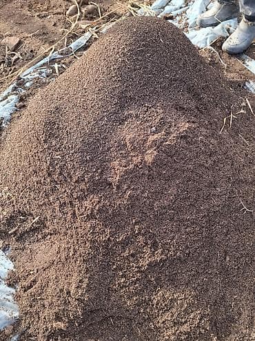 перегной в мешках купить: Биогумус Описание: - Натуральный торф, просеянный, однородной — 1