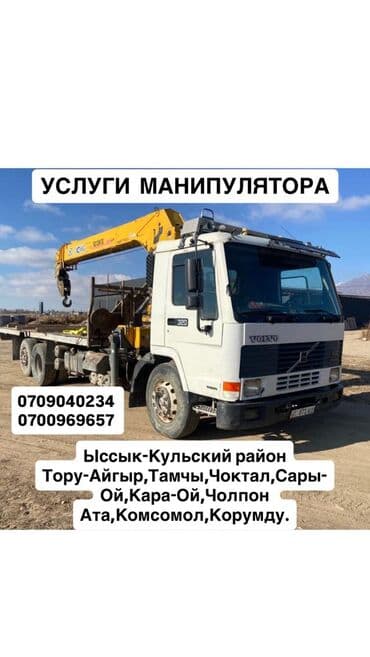 Сдаю в аренду