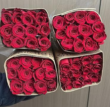 куплю пионы: Здравствуйте, уважаемые цветочники! Если вам нужны цветы оптом — в — 9