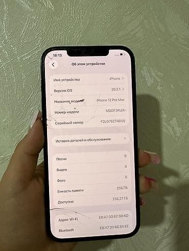13 mini: IPhone 12 Pro Max, Б/у, 256 ГБ, Pacific Blue, 53 % — 3