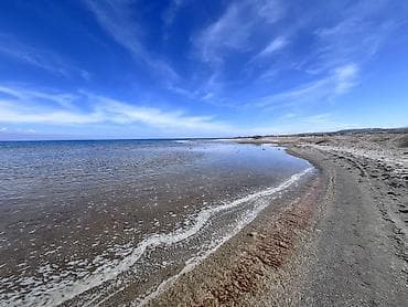 орошаемые земли: 10 соток, Для сельского хозяйства, Красная книга, Договор купли-продажи — 8