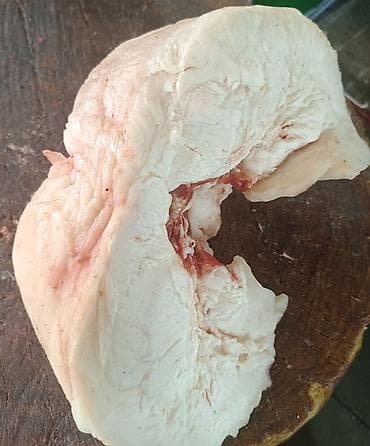 Свежый койдун куйругу сатылат оптом