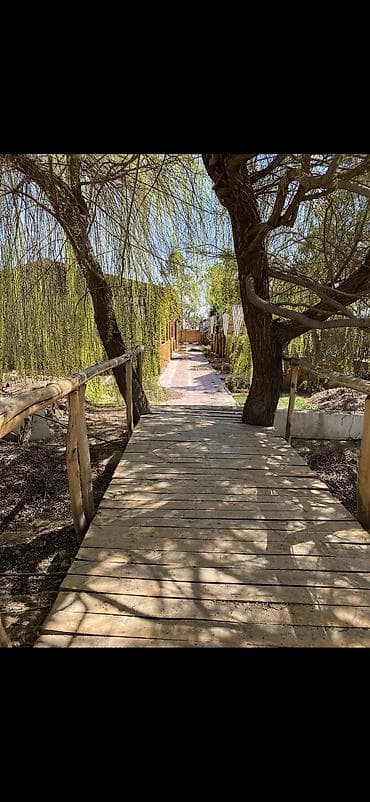 дом сруб под ключ: Сдаю кафе село Бактуу Долоноту поворот Каприз.,,на долгий срок — 10