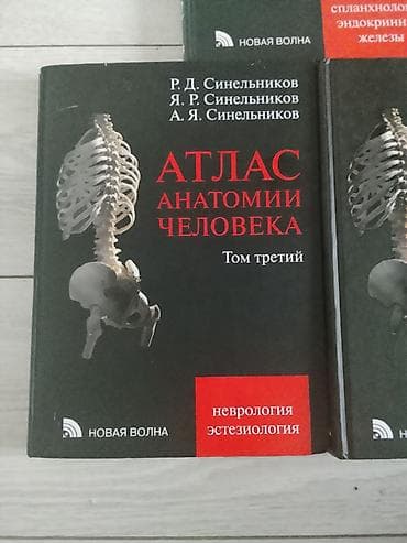 эндо: Продаю Атлас анатомии человека, каждая 5к, если все вместе отдам за — 2
