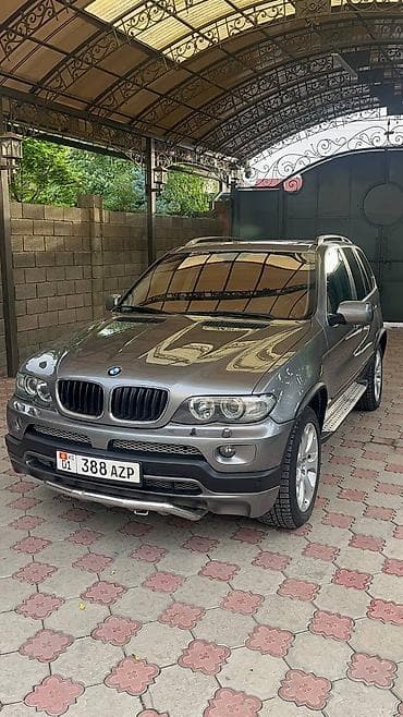 Транспорт: BMW X5: 2004 г., 4.4 л, Автомат, Бензин, Кроссовер — 1