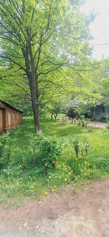 солнечные фанари: Аренда юрты, Каркас Металлический, 55 баш, Посуда — 8