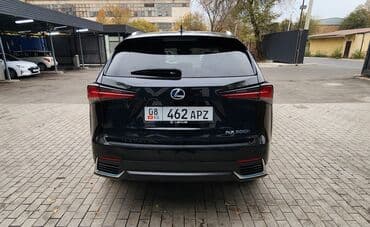 полик нексия 2: Lexus NX: 2019 г., 2.5 л, Вариатор, Гибрид, Кроссовер — 8