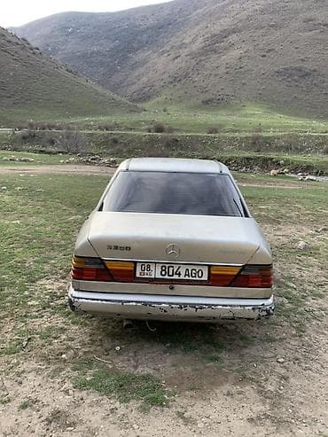 Продажа авто: Mercedes-Benz W124: 1989 г., 2.9 л, Дизель — 4