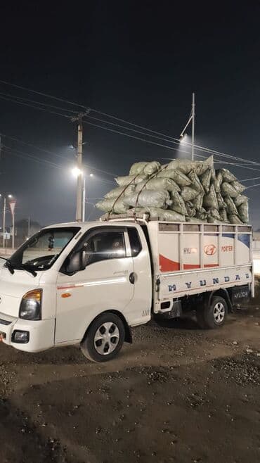 портер такс: Заказать Хендай портер, Вывоз бытового мусора, C грузчиком — 1