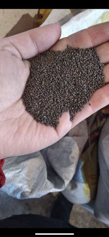 бенкунг отзывы: Семена люцерны. Прием/продажа в любых объёмах. Доставка по всем — 5