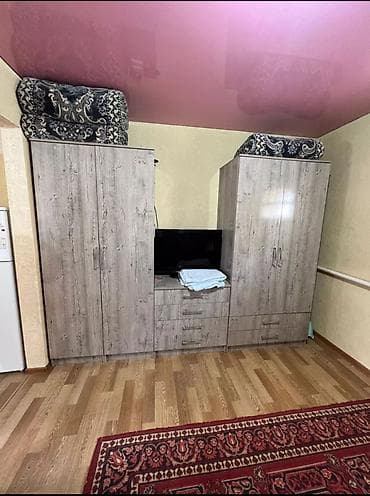 ок орго: 1 бөлмө, Кыймылсыз мүлк агенттиги, Чогуу жашоосу жок, Жарым -жартылай эмереги бар — 3