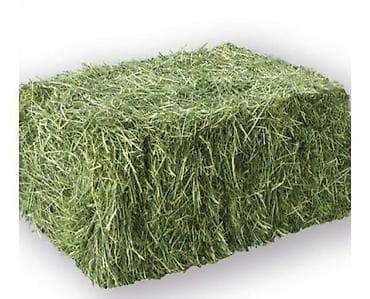 Сено в тюках (прямоугольные кипы) - Классическое луговое сено