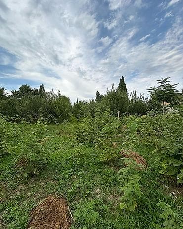санузла: ✨ Продаётся дом в с. Сокулук ✨ 🏡 Характеристики: • Участок - 14 соток — 4