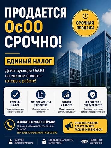 авто проект: Продается действующее ОсОО на едином налоге — готово к работе — 1