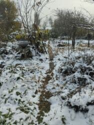 купить домашний телефон: Үй, 100 кв. м, 6 бөлмө, Менчик ээси — 5