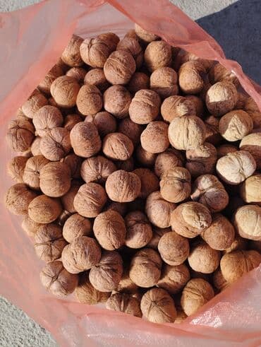 мебель для прихожей бишкек: Продаю орехи — 2