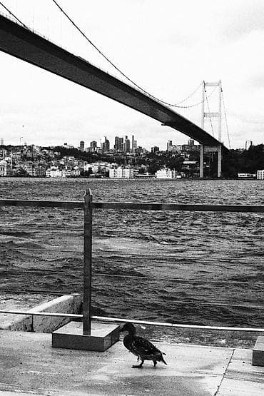 куплю фотоаппарат зенит: Продаю Canon R10 📸 Состояние отличное,пользовалась сама, очень — 10