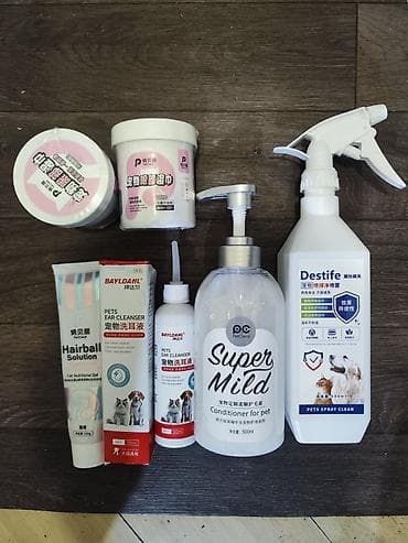 Кошки: Более 5 лет, Мальчик, Проглистована — 2