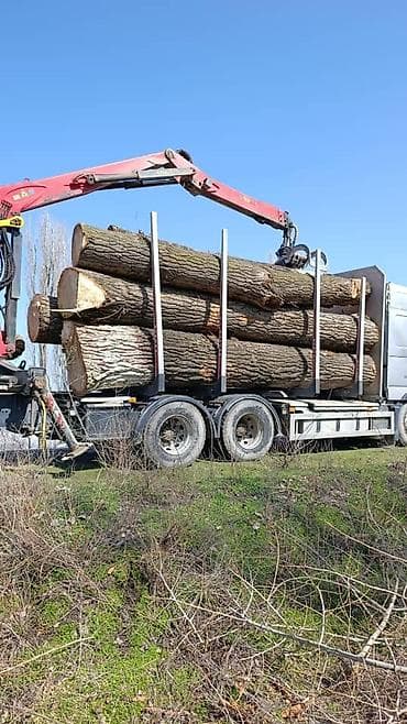 продаю бу леса: Терек алабыз 
адрес Ысык кол
Жети огуз — 1