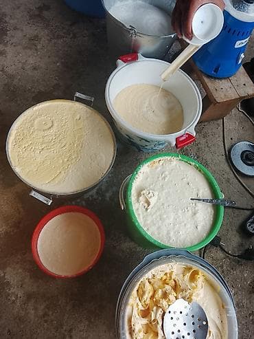 мука 1 сорт цена бишкек: Домашнее топлёное масло (ги) из коровьего молока - Натуральное масло — 3
