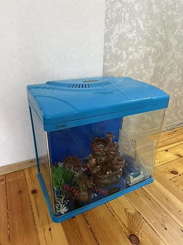 аквариумы с рыбками: Аквариумный комплект с крышкой и аксессуарами Ничего не надо докупать — 2