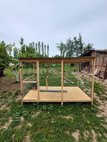 новый аквариум: Другая сетка — 6