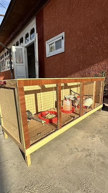 Защитные сетки от птиц