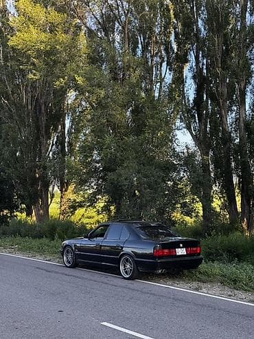 BMW 5 series: 1990 г., 2.5 л, Механика, Бензин, Седан — 4