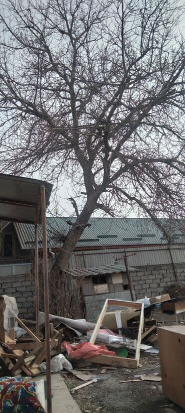 шкафы даром: Отдам даром диваны кресло и дрова самовывоз — 6