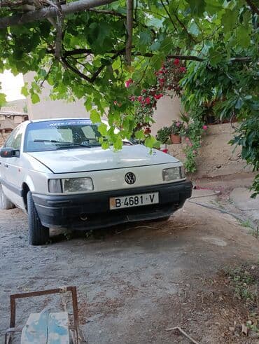 передний бампер опель вектра с: Volkswagen Passat: 1989 г., 1.8 л, Механика, Бензин, Седан — 3