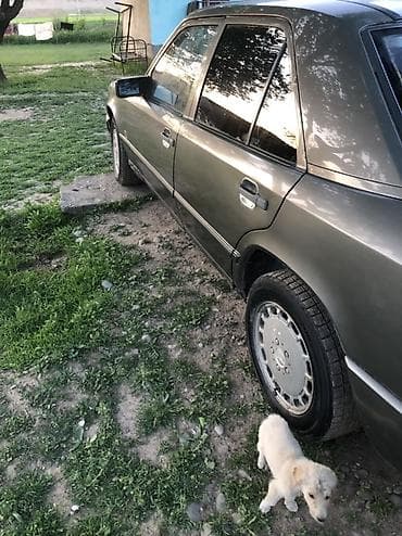 бампер 124 мерс: Mercedes-Benz W124: 1988 г., Ручные, Седан — 3