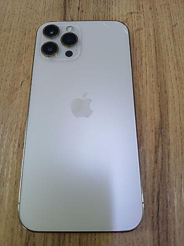 6 iphone 6: IPhone 12 Pro Max, 256 ГБ, Серебристый — 1