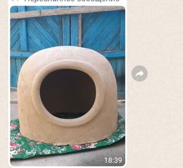 очок фото: Тандырлар Акысыз консультация 6 жылдан ашык тажрыйба — 30