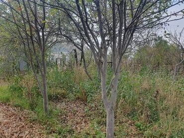 отдых на ысык ата: Дача, 50 м², 3 комнаты, Собственник — 4