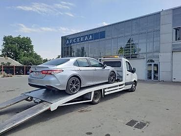 сокулук артемида: Көтөргүсү менен — 1